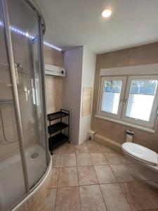 a bathroom with a shower and a sink and a toilet at Bungalow zwischen Wald und Seen in Pretzien
