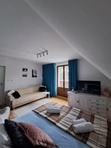 a living room with two beds and a television at Apartament SALAMANDRA 1 in Kościelisko