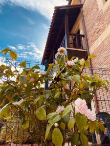 a bush with pink roses in front of a building at El Tejo de Comillas in Comillas