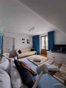 考斯賽力克的住宿－Apartament SALAMANDRA 1，客厅配有沙发和1张床