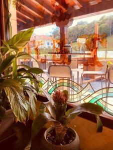 une plante en pot assise sur une table devant une fenêtre dans l'établissement El Tejo de Comillas, à Comillas