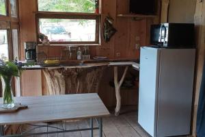 a kitchen with a refrigerator and a table and a window at Cabane aux papillons in Saint-Éloy-les-Tuileries