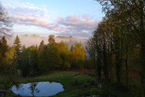 a view of a pond in the middle of a forest at Cabane aux papillons in Saint-Éloy-les-Tuileries