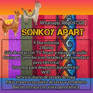 a flyer for a concert with two llamas at SONKOY APART in San Salvador de Jujuy