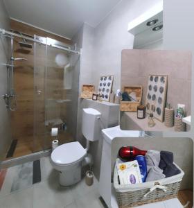 a bathroom with a toilet and a glass shower at XENA Centar Gradiška in Bosanska Gradiška +19 photos