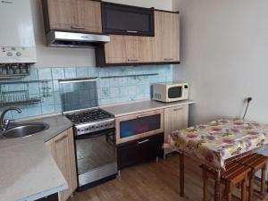 een keuken met een wastafel en een fornuis top oven bij Апартаменти 15 хв від жд вокзалу in Lviv