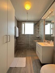 a bathroom with a shower and a sink and a toilet at Waterfront Fjord House in Litli-Árskógssandur