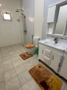 a bathroom with a toilet and a sink at sembene tourisme ngaparou in Ngaparou