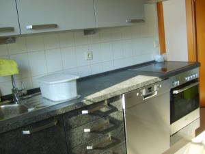 a kitchen counter with a sink and a dishwasher at Ferienwohnung Ottlinger in Erbach im Odenwald