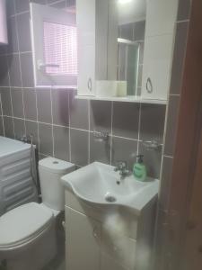 La salle de bains blanche est pourvue de toilettes et d'un lavabo. dans l'établissement Kopaonik Draskovic Apartmani, à Kopaonik