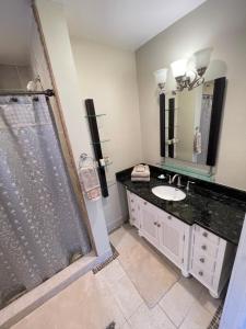 a bathroom with a shower and a sink and a mirror at Deluxe King Master Suite in Washington