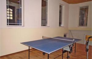 a ping pong table in a room with windows at Stunning Home In Rubkow With Wifi in Rubkow