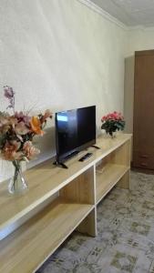 a living room with a television and flowers on a table at Apartamento Guardamar 1D Estándar in Guardamar del Segura