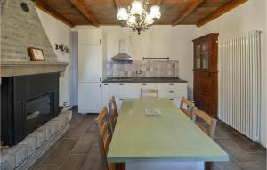 BurzanellaにあるAwesome Home In Burzanella With Kitchenのキッチン(緑のテーブル、暖炉付)