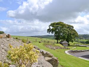 a grassy field with a tree and a stone wall at The Mill - Om3 in Mydroilin