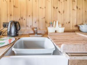 um balcão de cozinha com um lavatório e paredes de madeira em The Kingfisher - Uk40298 em Martin