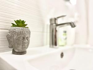 - un lavabo avec un vase et une plante dans la salle de bains dans l'établissement *Le Namasté*Fibre Wifi*Hyper Centre*, à Salon-de-Provence