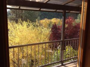 a window of a room with a view of trees at Hummingbird Hill Resort: Hot Tub, Views, Wildlife, 3D movies, Hiking, Bikes, Sleds, Games, Kids & Pets Love It in Naches