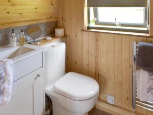 a bathroom with a toilet and a sink and a mirror at Pentland Pod in Penicuik
