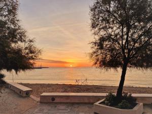 a sunset on the beach with a tree and benches at Appartement Le Lavandou, 1 pièce, 4 personnes - FR-1-251-481 in Le Lavandou