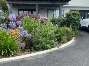 einen Garten mit lila Blumen auf einem Parkplatz in der Unterkunft Unit 11 Kaiteri Apartments and Holiday Homes in Kaiteriteri