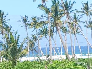 vista para a praia a partir do resort em Weeroona Huts Homestay Pacifico em San Isidro