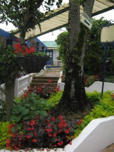Zahrada ubytování Hotel Villa Paz