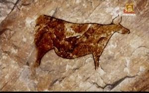 Animais na casa de hspedes ou nos arredores