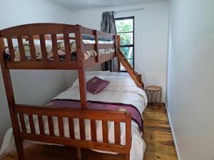 a bedroom with a bunk bed and a window at Richmond Central 3bdrm House sleeps 7 in Richmond