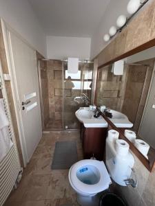ブラショヴにあるEduard Central Weissのバスルーム(トイレ、洗面台、シャワー付)
