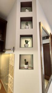 a wall with three windows with potted plants on it at Titi Classic & Trendy Apartman in Bük