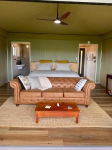 a living room with a couch and a bed at Aquila Eco Retreat in Richmond