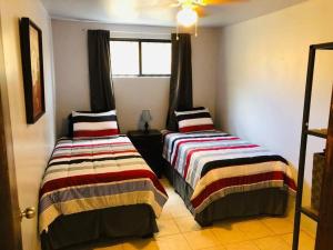 two beds sitting next to each other in a room at Nuevo Departamento en el Centro de Cananea in Cananea