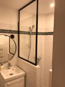 La salle de bains est pourvue d'une douche et d'un lavabo. dans l'établissement Nid douillet bord de Loire, à Blois