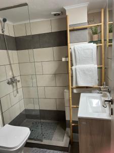 W łazience znajduje się prysznic, toaleta i umywalka. w obiekcie CASA MILITOU-NEA FILADELFIA w Atenach