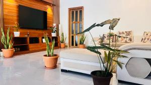 un soggiorno con piante in vaso e TV di Muladdu Inn a Feydhoo