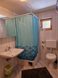 een badkamer met een douche, een wastafel en een toilet bij FoRest in Jasenak