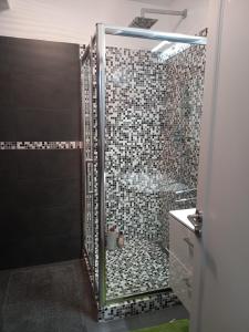 La salle de bains est pourvue d'une douche avec une porte en verre. dans l'établissement Alice Residence, à Sibiu
