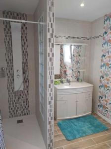 un baño con lavabo y ducha en le ch'ti 4 saisons Maison de vacances avec parking et jardin, en Saint-Omer