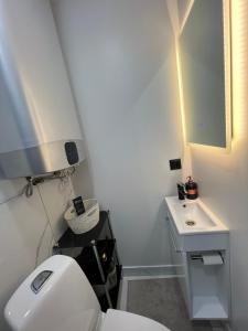 a bathroom with a white toilet and a sink at Kärdla Holiday Apartment with Sauna and Terrace in Kärdla