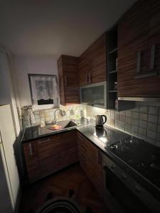 Kuchyňa alebo kuchynka v ubytovaní Sweet apartman Maša