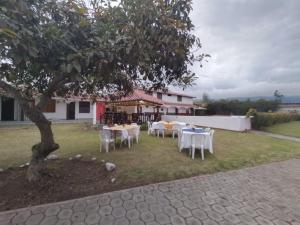 eine Gruppe von Tischen und Stühlen unter einem Baum in der Unterkunft Quinta Wiñay in Yaruguí