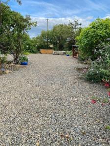 a gravel driveway with some plants and trees at Dunes View, Cottage1, Dunnetbay accommodation in Castletown