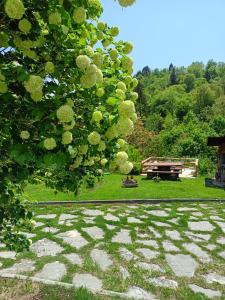a park with a bench and a tree at Locanda San Martino in Massac