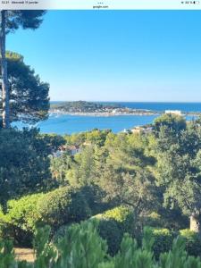 Blick auf das Meer von einem Hügel mit Bäumen in der Unterkunft Tamaris in La Seyne-sur-Mer