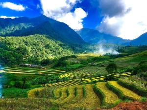 a field of crops on a hill with mountains in the background at Frontier Hostel & Tours in Dien Bien Phu