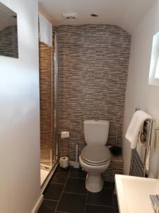 a bathroom with a toilet and a brick wall at The Willows in Shillingstone
