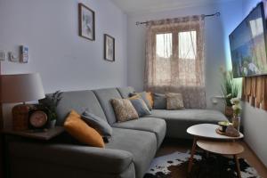 uma sala de estar com um sofá cinzento e uma mesa em Robinson crusoe style house "MASLINA'' em Škrip