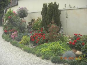 a garden of flowers and plants on a sidewalk at La Merlette89 in Lailly