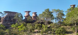 a group of balanced rock formations in the forest at Luz de Carboneras in Carboneras de Guadazaón